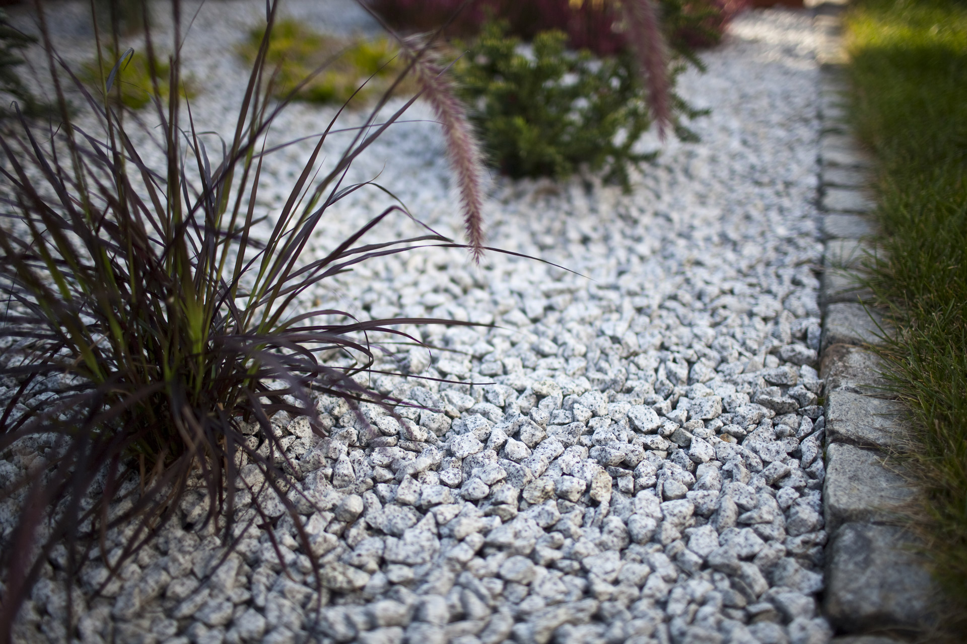 Dziękujemy za wiadomość